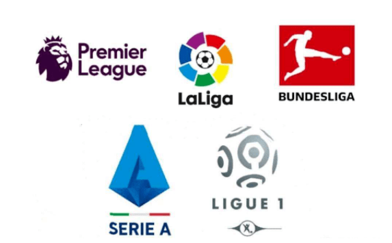 它们更诠释 它们更诠释